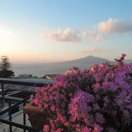 Bed and Breakfast La Casa Nel Cortile